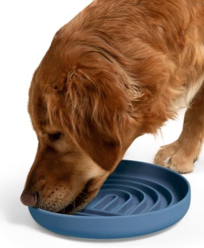 Slow Feeder Dog Bowl - Silicone Dog Bowl, Large, 9.5" x 1.5" - Ocean by ShouldWeGo