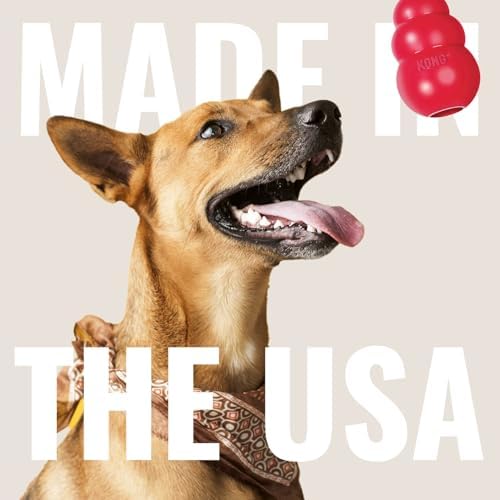 KONG Aqua Floating Fetch Toy, Natural Rubber, Orange, for Large Dogs - Image 6