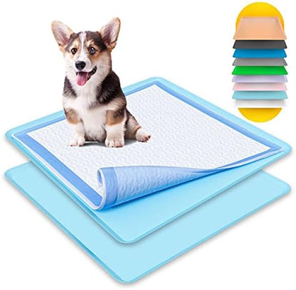 Dog Pee Pad Holder - Fits Up to 24” x 24” Pee Pad - 2 Pack - Sky Blue by Skywin