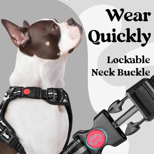 rabbitgoo Dog Harness for Large, Updated Easy On & Off with 3 Buckles - Image 2