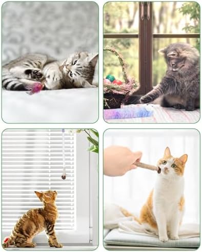 Bissap 20PCS Silvervine Chew Sticks, Catnip Chewing Toy for Cat Kitten - Image 7