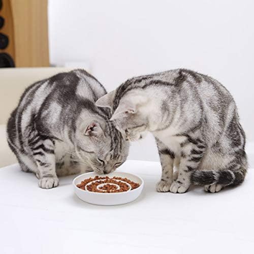 SLSON Cat Slow Feeder Bowl,Ceramic Slow Feed Cat Bowls Heavy and Shallow Wisker Stress-Free Pets Dish for Kittens Small Pets Wet Food,White - Image 5