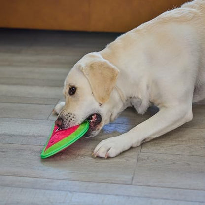 Outward Hound Tough Skinz Durable Chew Squeaky Dog Toy, Watermelon, 9.8" - Image 6