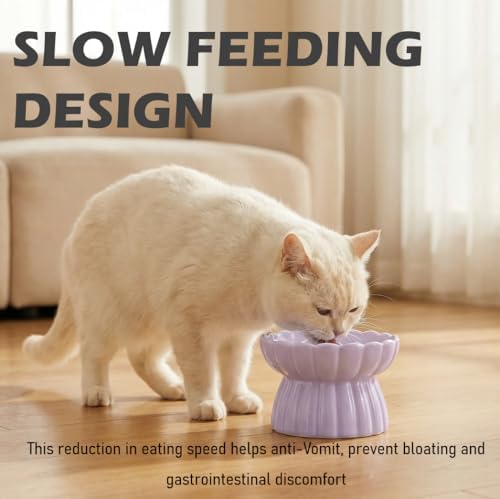 Ceramic Cat Slow Feeder, Raised Slow Feeder Cat Bowl, Anti Vomiting and Whisker Friendly Kitty Dish, Elevated Puppy Kitten Food Bowl for Dry and Wet Food (Purple) - Image 7