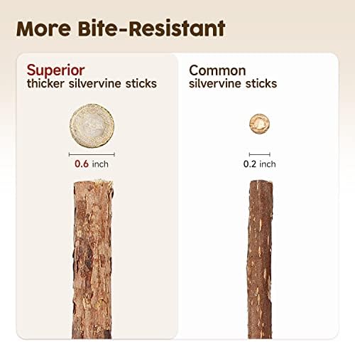Potaroma 6 Pcs Natural Silvervine Sticks Cat Toys, Catmint Silvervine Blend Sticks, Kittens Chew Toys for Teeth Cleaning, Matatabi Dental Care Cat Treat, Edible Kitty Lick Toys - Image 6