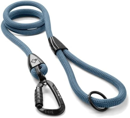 MADE TO ROAM Premium Explorer Leash - Climbing Rope Leash with Autolocking Aviation Aluminum Carabiner - California Horizon, 6ft by MADETOROAM