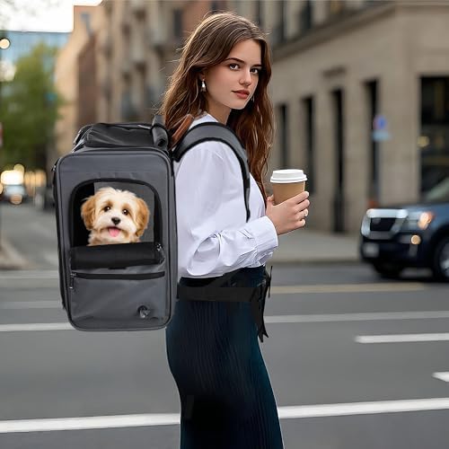 EliteField Deluxe Backpack Pet Carrier for Cats and Dogs (3-Year Warranty) by EliteField