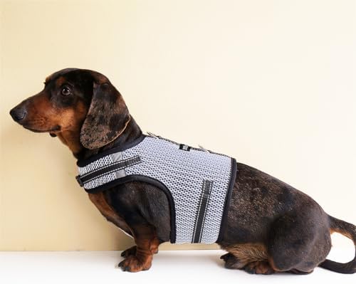 Mini Dachshund Harness – No Armpit Rub, Escape Proof, Reflective, No Pull Vest-Style Dachshunds Harness,Breathable Mesh Dog Harness (Silver-White, M: Chest 42-52cm (16.5"-20.5")) - Image 7