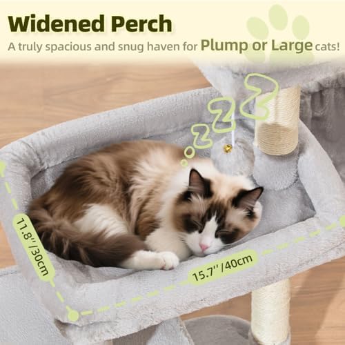 Taoqimiao 32.2in Cat Tree with Toy, Small Cat Tower for Indoor Cats, MS043W - Image 2