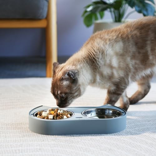 7 Ruby Road Kitten Food Bowl - Cat Food and Water Bowl Set for Indoor Cats - Image 6
