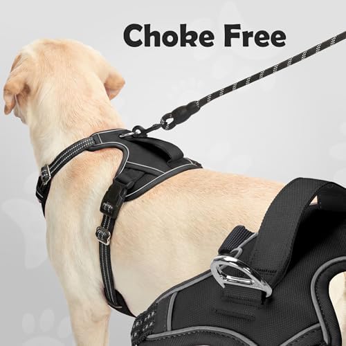 Funfox Dog Harness for X-Large Dog No Pull, Adjustable Pet Vest Harness, Vertical Handle Easy Control with 2 Leash Clips, Soft Material, Reflective Safe Night Walking for X-Large Size, Black, XL - Image 3