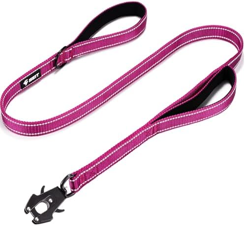 GEIT 2 Padded Handles Heavy Duty Dog Leash for Small Medium and Large Dogs by GEIT