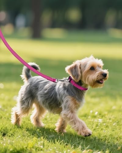 Joytale Feather-Light Dog Collar for Small & Medium Dogs, 3/4", Hotpink - Image 6