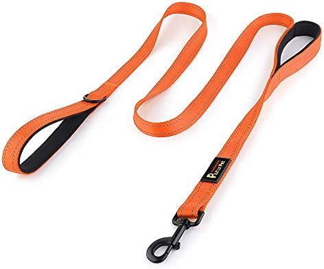 Plutus Pet Double Handle Dog Leash, 4 FT Long, for Medium Large Dogs by PLUTUSPET
