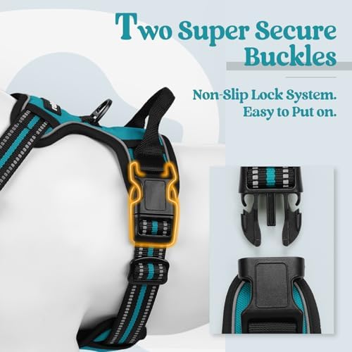 rabbitgoo Dog Harness No Pull with 2 Leash Clips, Adjustable Soft Padded, Reflective Oxford No Choke Pet Vest with Easy Control Handle for Large Dogs, Teal, L - Image 3