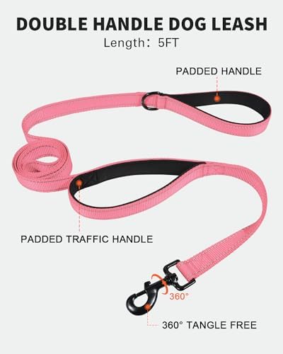 FunTags Martingale Dog Collar and Leash Set for Medium Dogs, Locking Buckle - Image 4