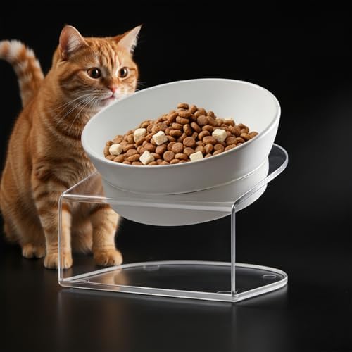 LivLab Mker Raised Cat Bowl, 15° Tilted, 4.5 in High, White by LivLabMker