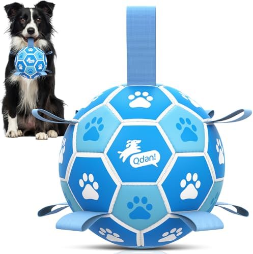 QDAN Dog Balls, 6 Inch Soccer Ball with Straps for Dogs, Outdoor Dog Toys by QDAN
