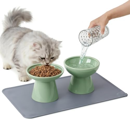 CEEFU 2 Elevated Ceramic Cat Bowls Upgraded with Food Mat for Food & Water by CEEFU