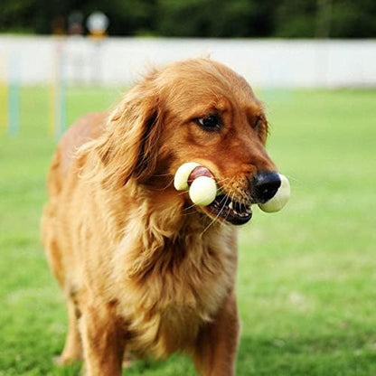 Tikaton Dog Chew Toys for Aggressive Chewers, Peanut Butter Flavor Durable Dog Teething Chew Toys Bones for Large/Medium/Small Puppies - Image 5