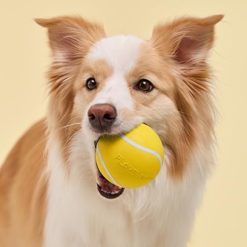 Playology Squeaky Chew Ball Dog Toy - Jumbo, Chicken Scent - Image 3