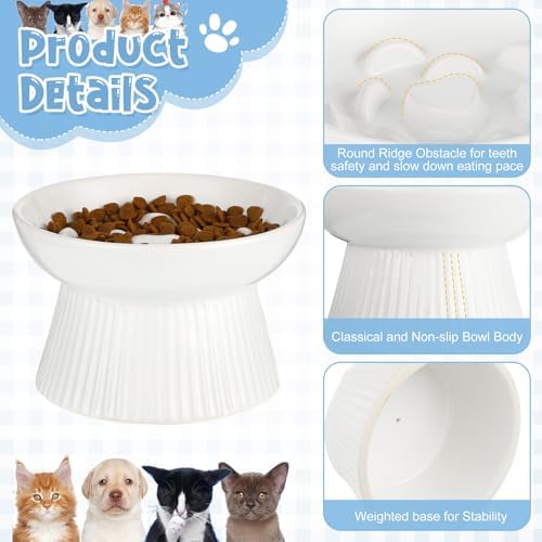 Tioncy 2 Pcs Ceramic Elevated Slow Feeder Cat Bowl, Dark Green, White - Image 3