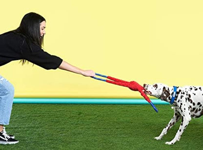 ZippyPaws RopeTugz Durable Dog Pull Rope Toy - Blue Monkey - Image 4