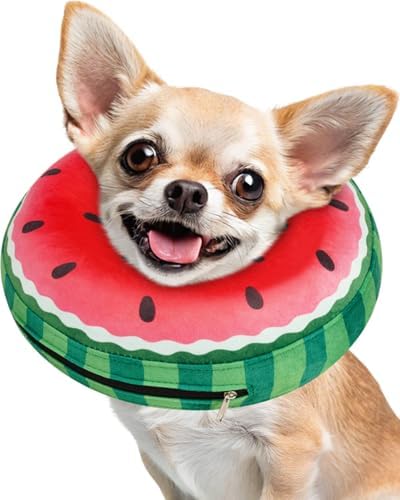 Inflatable Dog Pillow Cone Collar After Surgery, Donut Soft Neck Cone for Chihuahua Pomeranian Small Dogs, etc, Recovery E Collar to Stop Licking Watermelon by Didopet