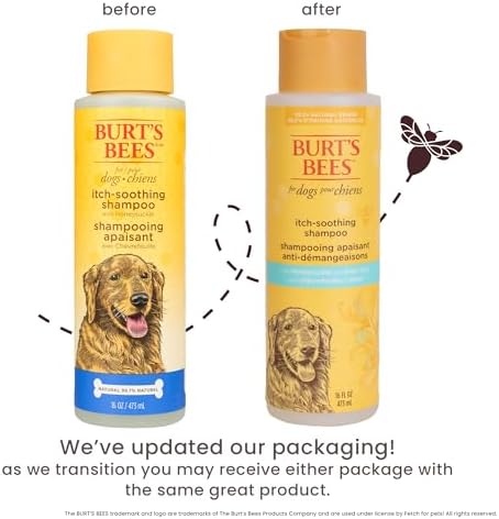 Burts Bees for Pets Itch Soothing Dog Shampoo, Honeysuckle, 16 Fl Oz - Image 2