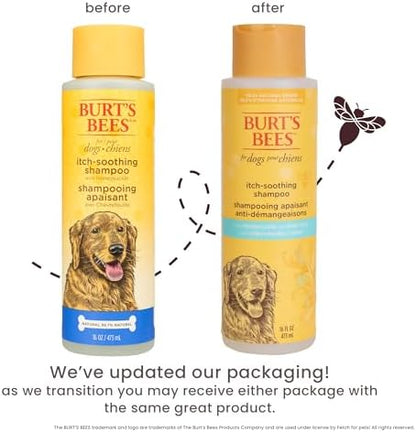 Burts Bees for Pets Itch Soothing Dog Shampoo, Honeysuckle, 16 Fl Oz - Image 2