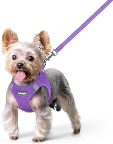 rabbitgoo Dog Harness Small Sized and Leash Set, Step-in Puppy Pet Vest by rabbitgoo