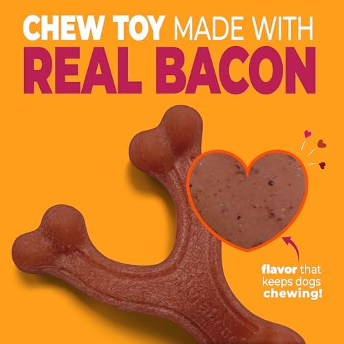 Nylabone Strong Chew Wishbone Dog Toy, Dog Toys for Aggressive Chewers - Image 2