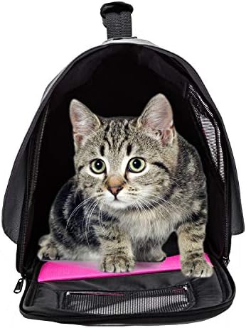 Pawer 18” x 11”x 11” Soft-Sided Foldable Airline Approved Pet Carrier for Cat, Puppy and Small Dog, Washable 600D Oxford Fabric, with Handle and Strap for Carry, Multiple Colors Available - Image 5