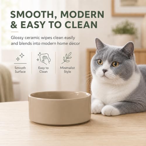 Havniva Cat Bowls Set of Two, 5.1” Ceramic Cat Food Bowls, Cat Water Bowl - Image 3