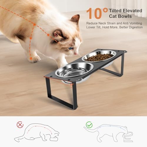 3 Set Elevated Cat Food Water Bowls, 6 Stainless Steel Bowls for Indoor Pet with Cute Metal Stand, 10° Tilted Anti-Vomiting Raised Wide Shallow Cat Dishes Whisker Friendly for Multiple Kitten,Puppy - Image 2