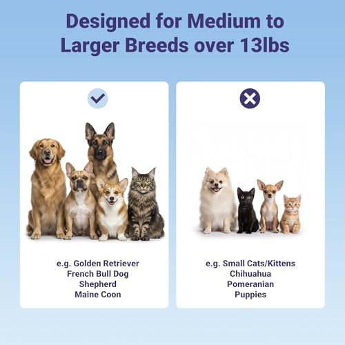 Dog Toothbrushes for Medium and Large Dogs, 2pcs, Ultra Soft Bristle, Long Durable Handle, Pet Tooth Brush and Dental Care Kit, Super Thin Bristle Gentle on Gum for Sensitive Pets, Amber - Image 4