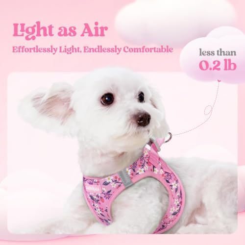 rabbitgoo Dog Harness Small Sized and Leash Set, Step-in Puppy Pet Vest - Image 3