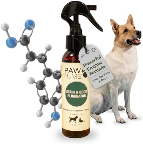 PAWFUME Stain & Pet Urine Odor Eliminator, 1-Pack by Pawfume