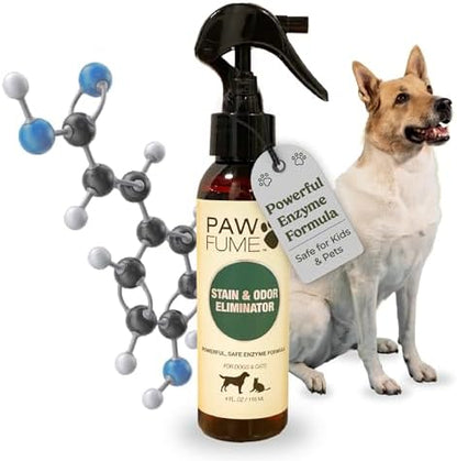 PAWFUME Stain & Pet Urine Odor Eliminator, 1-Pack by Pawfume
