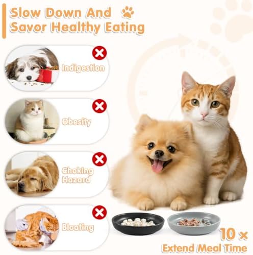 Cat Slow Feeder Bowl Set,2 Pcs Pastel Series Cat Plate for Dry and Wet Food - Image 3