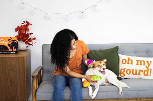 Pearhead Plush Halloween Candy Dog Toys, Set of 3 - Image 5