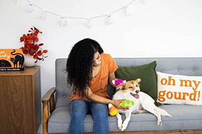 Pearhead Plush Halloween Candy Dog Toys, Set of 3 - Image 5
