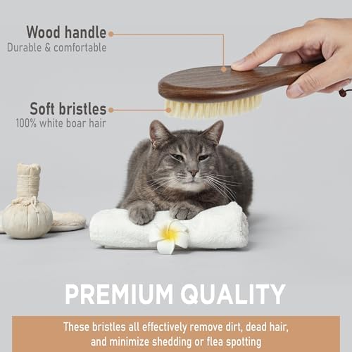 TAKAVU Soft Cat Brush, Natural Boar Bristle for Indoor Kittens - Image 3