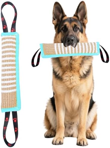 Clysoru Dog Tug Toy Tough Jute Bite Pillow Lasting Training Equipment Puppy to Large Dogs Interactive for Large and Small (Mint Green) by Clysoru