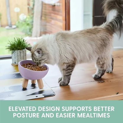 The Cat Ladies Tilted Ceramic Cat Bowl - Elevated Food Bowls Ceramic Pet Bowl - Raised Ceramics Bowls - Elevated & Tilted Design for Comfortable Eating - Dishwasher Safe - Wide Opening - Image 2