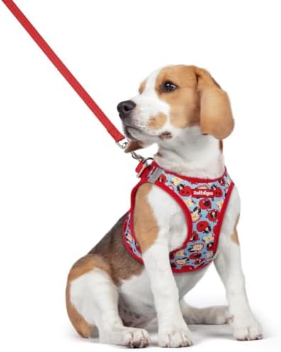 rabbitgoo Dog Harness Medium Sized and Leash Set, Step-in Puppy Pet Vest by rabbitgoo