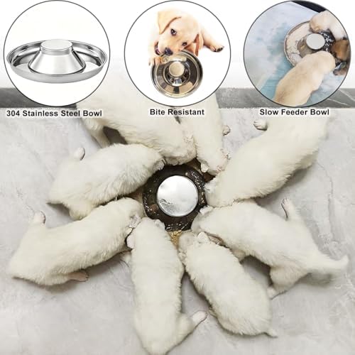 Stainless Steel Multi-Pet Feeding Bowl for Small Medium Large Dogs & Cats - Image 4