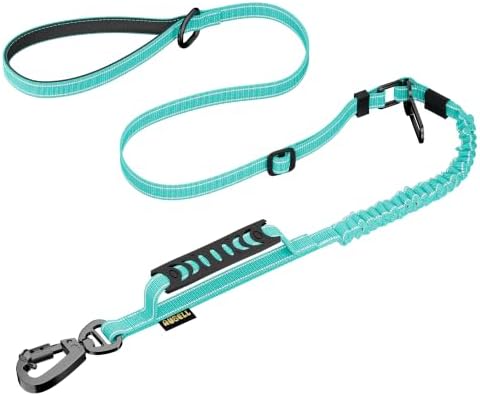 AUBELL Tactical Dog Leash Heavy Duty,4-6ft No Pull Bungee Leash,Teal by AUBELL