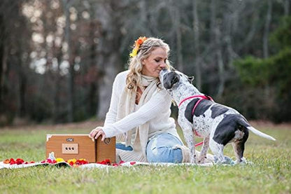 Harness Lead No Pull Dog Harness and Leash Set, Anti Pull Dog Harness for All Breeds and Sizes, One-Piece Cushioned Rope Design Safely Prevents Escaping and Pulling (Small/Medium, Pink) - Image 2
