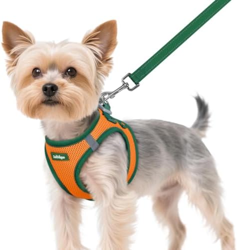 rabbitgoo Dog Harness Small Sized and Leash Set, Step in Soft Vest by rabbitgoo